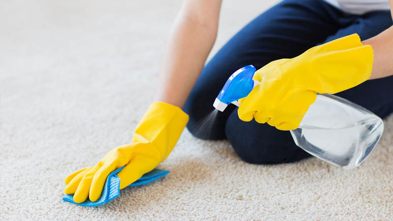 قالیشویی گوهردشت اسپارد