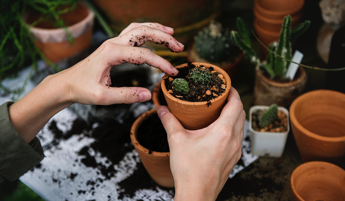 ۸ تاثیر باورنکردنی باغبانی ارگانیک روی سلامت و زندگی شخصی