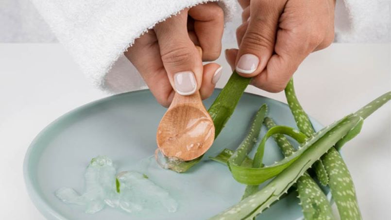 روش تهیه ژل آلوئه ورا در خانه