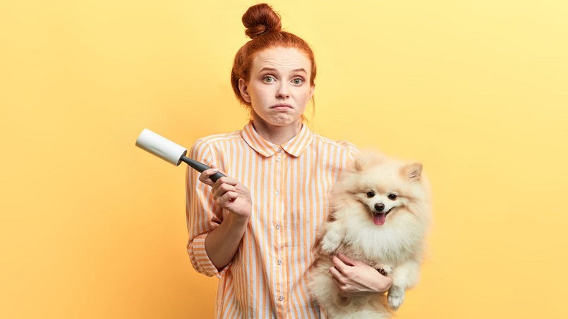 روش تمیز کردن موی گربه از مبل